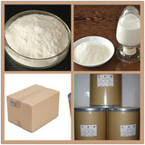 Chitosan Powder